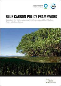 Blue carbon policy framework : based on the first workshop of the International Blue Carbon Policy Working Group