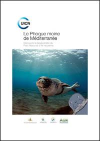 Le phoque moine de Méditerranée : découvre la biodiversité du Parc National dAl Hoceima