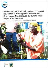 Valorisation des produits forestiers non ligneux du chantier d'aménagement forestier de Bougnounou-Nébiélianayou au Burkina Faso : acquis et perspectives