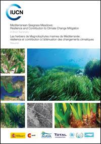 Mediterranean seagrass meadows : resilience and contribution to climate change mitigation, a short summary = Les herbiers de Magnoliophytes marines de Méditerranée : résilience et contribution à latténuation des changements climatiques, résum