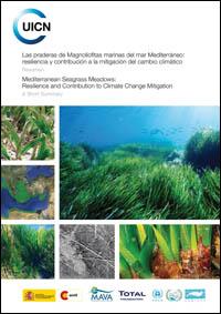 Las praderas de Magnoliofitas marinas del mar Mediterráneo : resiliencia y contribución a la mitigación del cambio climático, resumen = Mediterranean seagrass meadows : resilience and contribution to climate change mitigation, a short summary