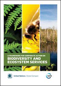 A framework for corporate action on biodiversity and ecosystem services