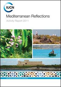 Mediterranean reflections : activity report 2011