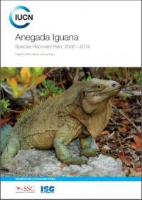 Anegada iguana : species recovery plan, 2006-2010