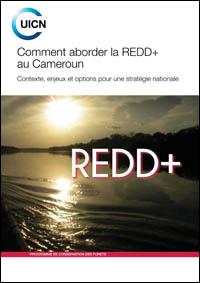 Comment aborder la REDD+ au Cameroun : contexte, enjeux et options pour une stratégie nationale