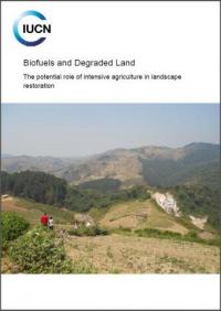 Biofuels and degraded land : the potential role of intensive agriculture in landscape restoration