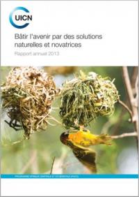 Bâtir l'avenir par des solutions naturelles et novatrices : rapport annuel 2013