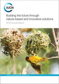 Building the future through nature-based and innovative solutions : 2013 annual report