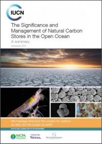 The significance and management of natural carbon stores in the open ocean : a summary