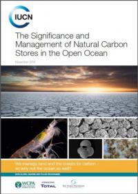 The significance and management of natural carbon stores in the open ocean