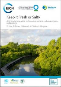 Keep it fresh or salty : an introductory guide to financing wetland carbon programs and projects