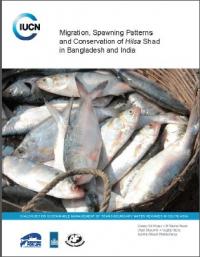Migration, spawning patterns and conservation of hilsa shad in Bangladesh and India