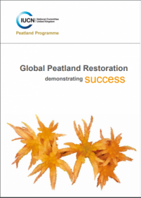 Global peatland restoration : demonstrating success