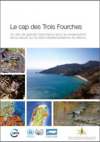 Le cap des Trois Fourches