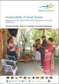 Sustainability of small grants