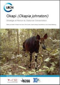 Okapi (Okapia johnstoni)