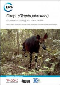 Okapi (Okapia johnstoni)