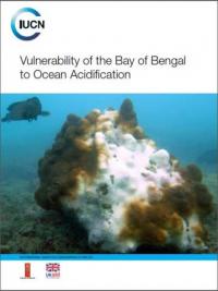 Vulnerability of the Bay of Bengal to ocean acidification