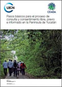 Pasos básicos para el proceso de consulta y consentimiento libre, previo e informado en la Península de Yucatán