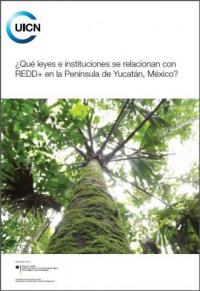¿Qué leyes e instituciones se relacionan con REDD+ en la Península de Yucatán, México?