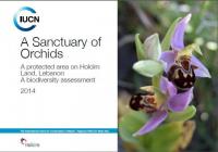 A sanctuary of orchids