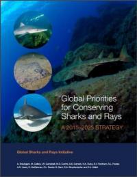 Global priorities for conserving sharks and rays : a 2015-2025 strategy