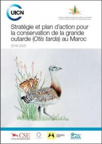 Stratégie et plan d'action pour la conservation de la grande outarde (Otis tarda) au Maroc : 2016-2025