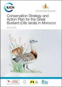 Conservation strategy and action plan for the great bustard (Otis tarda) in Morocco : 2016-2025