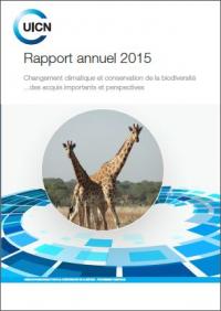 Rapport annuel 2015
