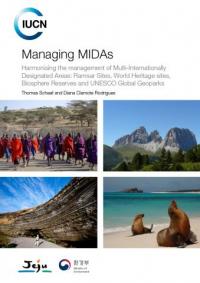 Managing MIDAS : harmonising the management of Multi-Internationally Designated Areas