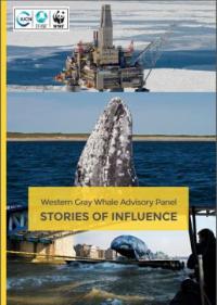 Western Gray Whale Advisory Panel stories of influence