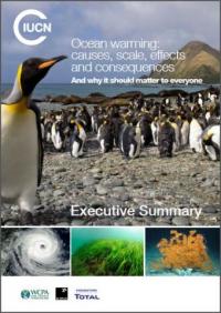 Ocean warming : causes, scale, effects and consequences...Executive summary