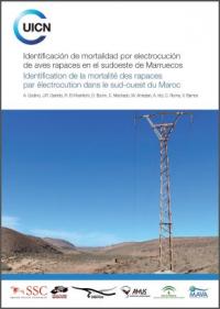 Identificación de mortalidad por electrocución de aves rapaces en el sudoeste de Marruecos = Identification de la mortalité des rapaces par électrocution dans le sud-ouest du Maroc