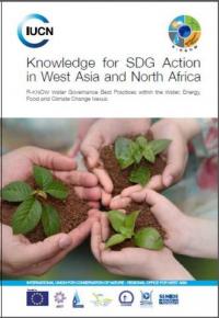 Knowledge for SDG action in West Asia and North Africa