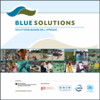 Solutions bleues de l'Afrique