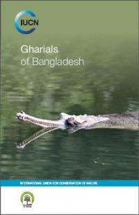 Gharials of Bangladesh