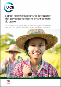 Lignes directrices pour une restauration des paysages forestiers tenant compte du genre