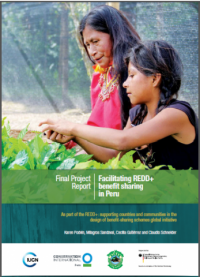 Facilitating REDD+ benefit sharing in Peru