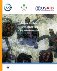 Marine turtles of the Maldives