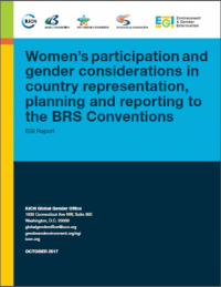 Women’s participation and gender considerations in country representation, planning and reporting to the BRS Conventions