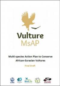 Multi-species action plan to conserve African-Eurasian vultures