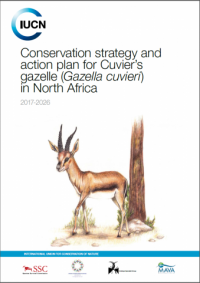 Conservation strategy and action plan for Cuvier's gazelle (Gazella cuvieri) in North Africa 2017-2026