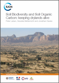 Soil biodiversity and soil organic carbon