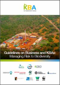 Guidelines on business and KBAs