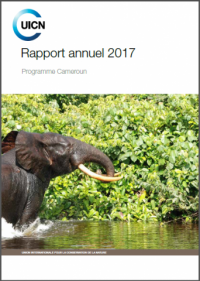 Rapport annuel 2017 : Programme Cameroun