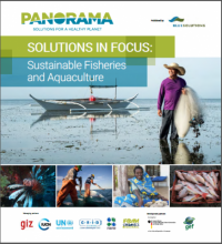 Solutions in focus : sustainable fisheries and aquaculture