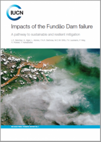 Impacts of the Fundão Dam failure