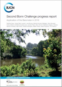 Second Bonn Challenge progress report