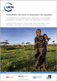 Réhabilitation des terres et restauration des paysages