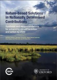 Nature-based solutions in nationally determined contributions